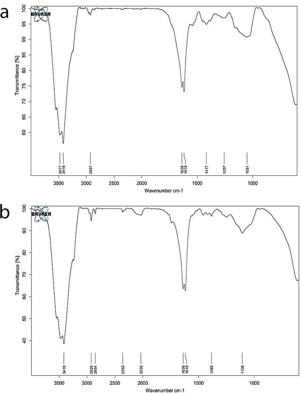 -Loaded Alginate Hydrogels for Antibacterial Oral Applications: Formulation and  Evaluation